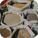 Kid earning money, piggybank